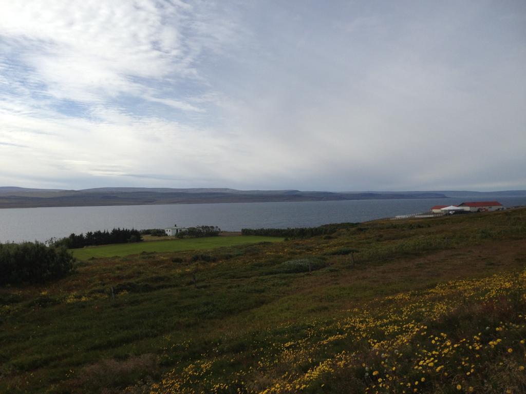 Bessastathir Guesthouse Hvammstangi Buitenkant foto